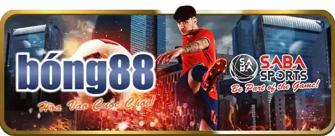 Phát triển bền vững và trách nhiệm xã hội